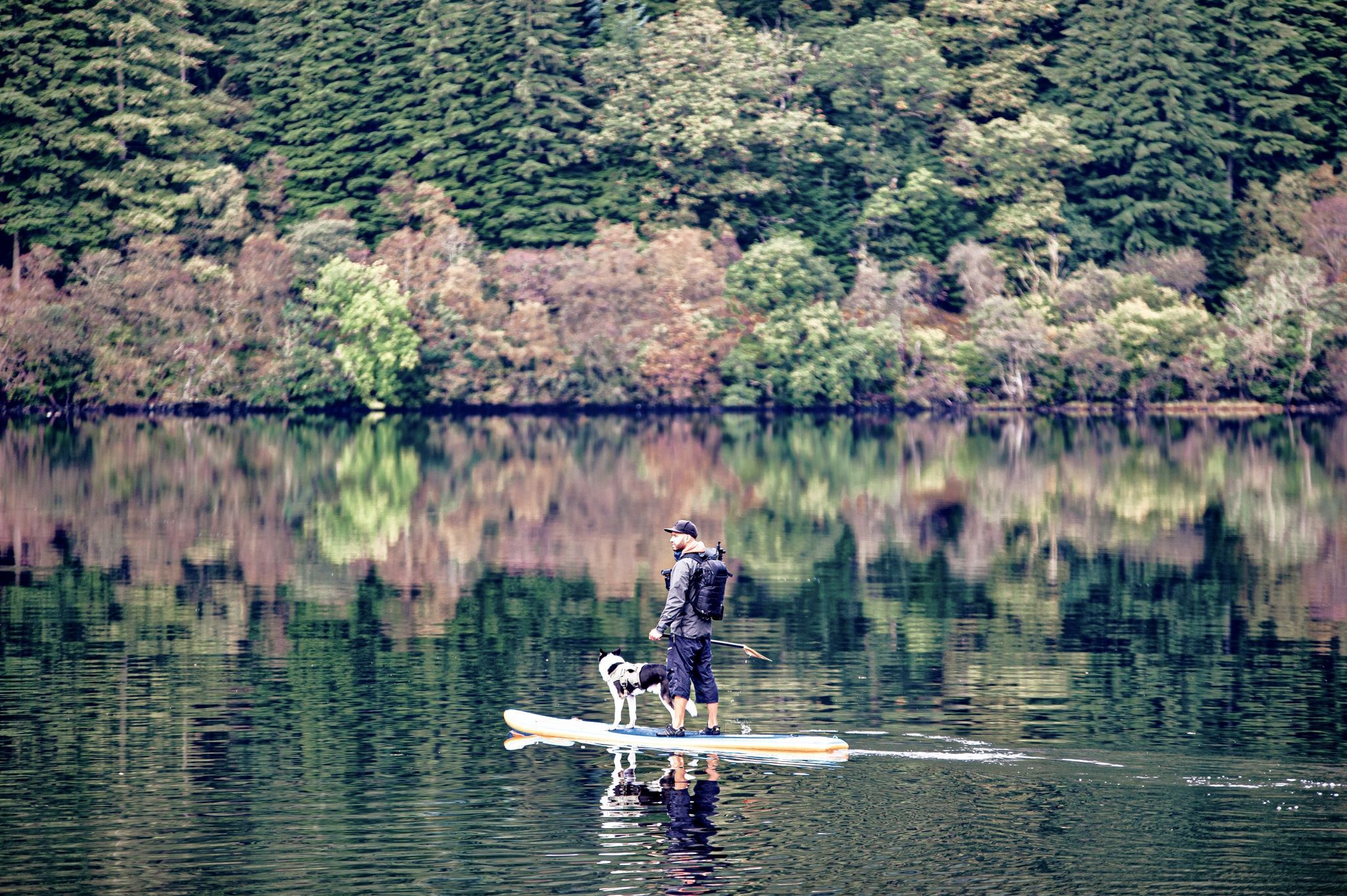 Loch Eck, Argyle Forest, Scotland, United Kingdom