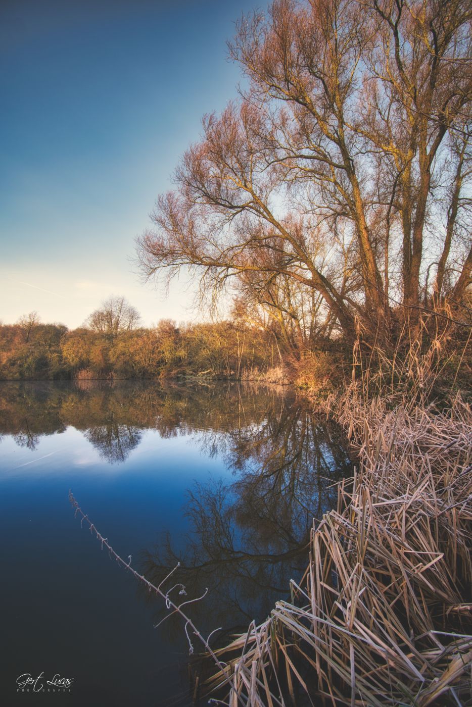 Malakoff - reflections, Belgium