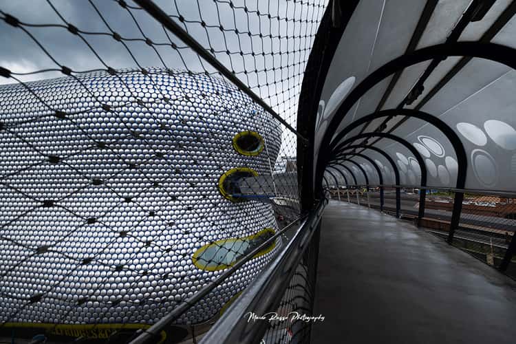 marco russo photography