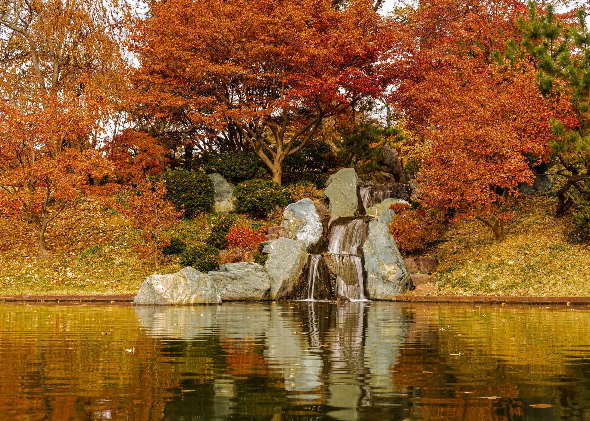 Missouri Botanical Gardens, USA