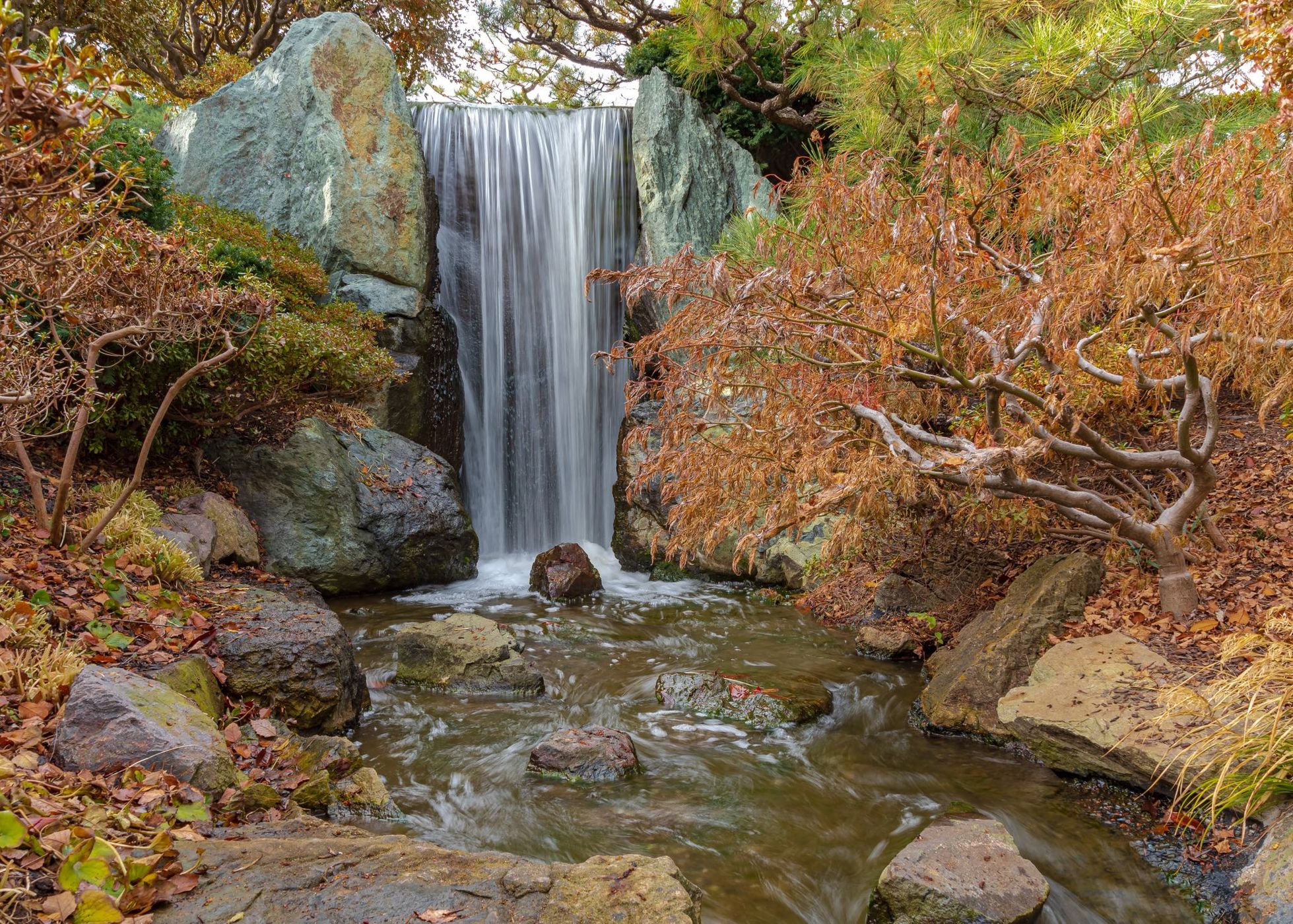 Missouri Botanical Gardens, USA