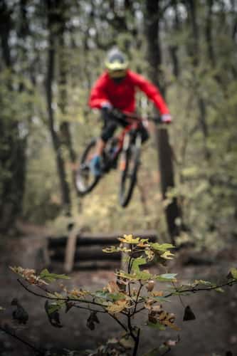 Mtb Action in Belgrade Kosutnjak