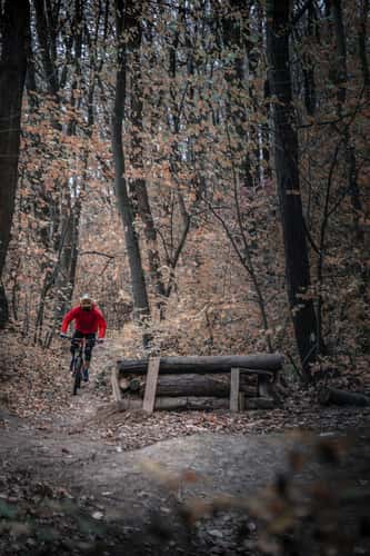 Mtb Action in Belgrade Kosutnjak