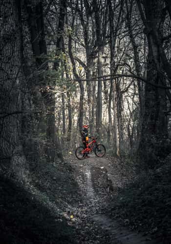 Mtb Action in Belgrade Kosutnjak