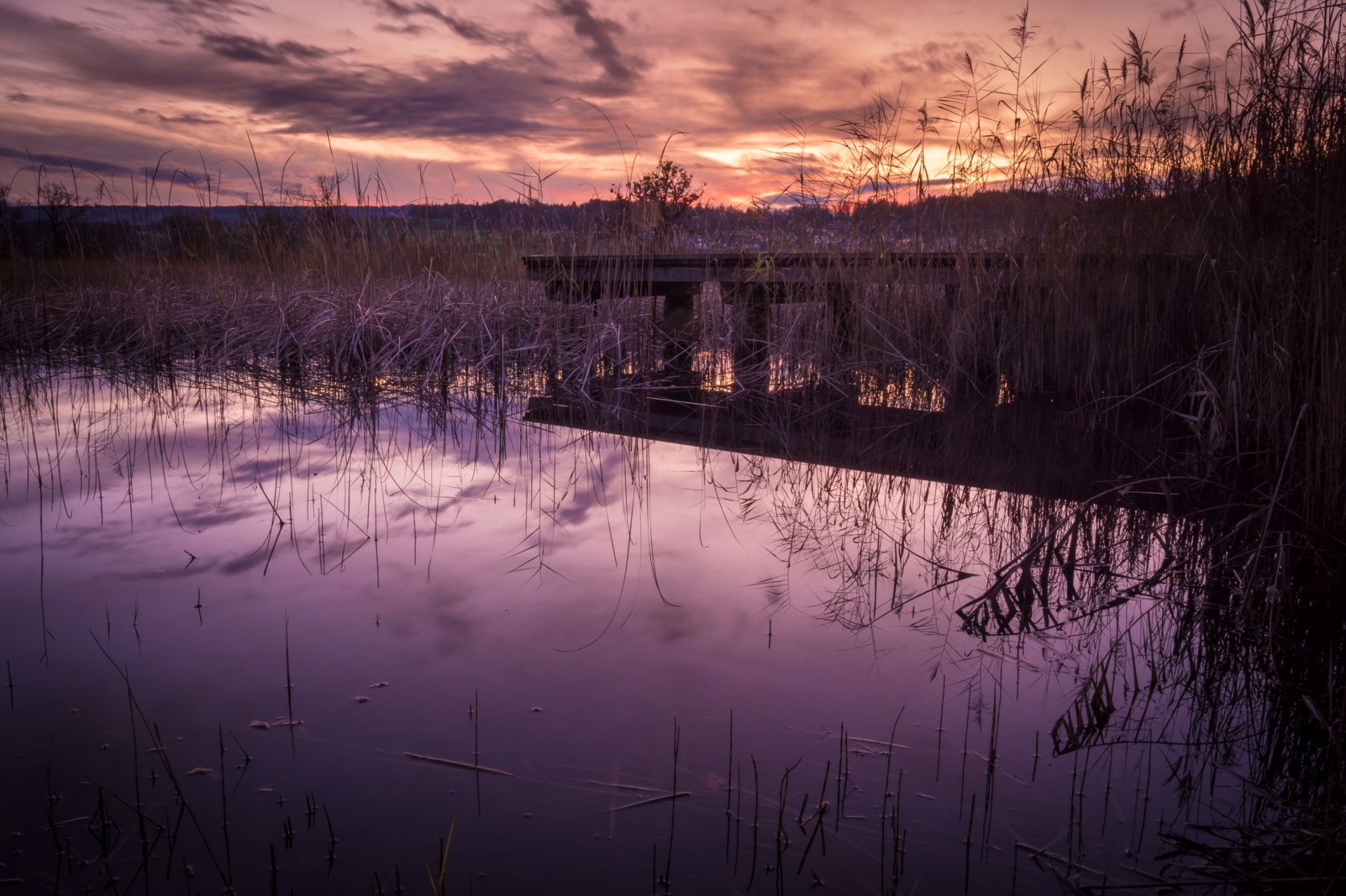 nature reserve Rottenschwil, Switzerland