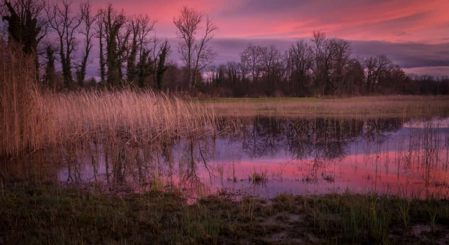 nature reserve Rottenschwil