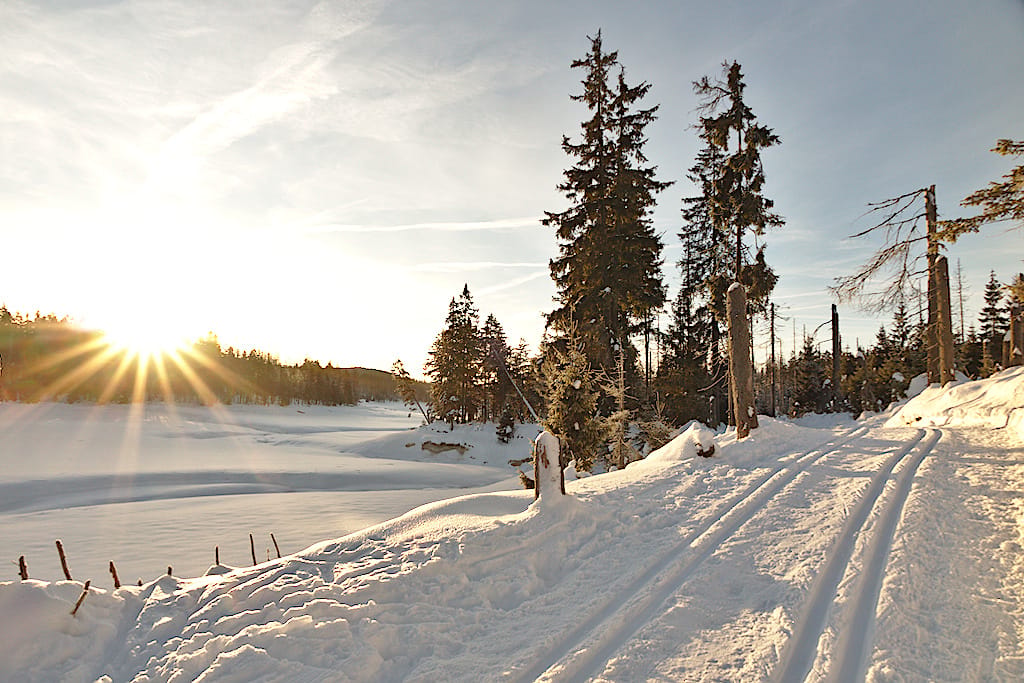 Oderteich winter morning, Germany