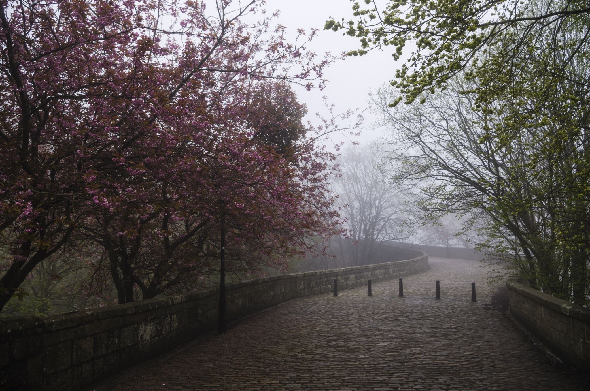 Old Brig O'Balgownie, Aberdeen, United Kingdom
