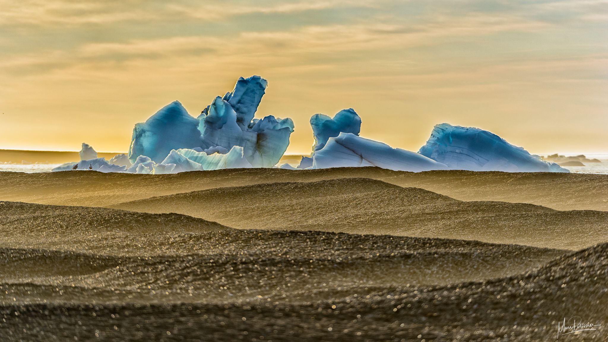 On the Walrus island, Svalbard & Jan Mayen Islands