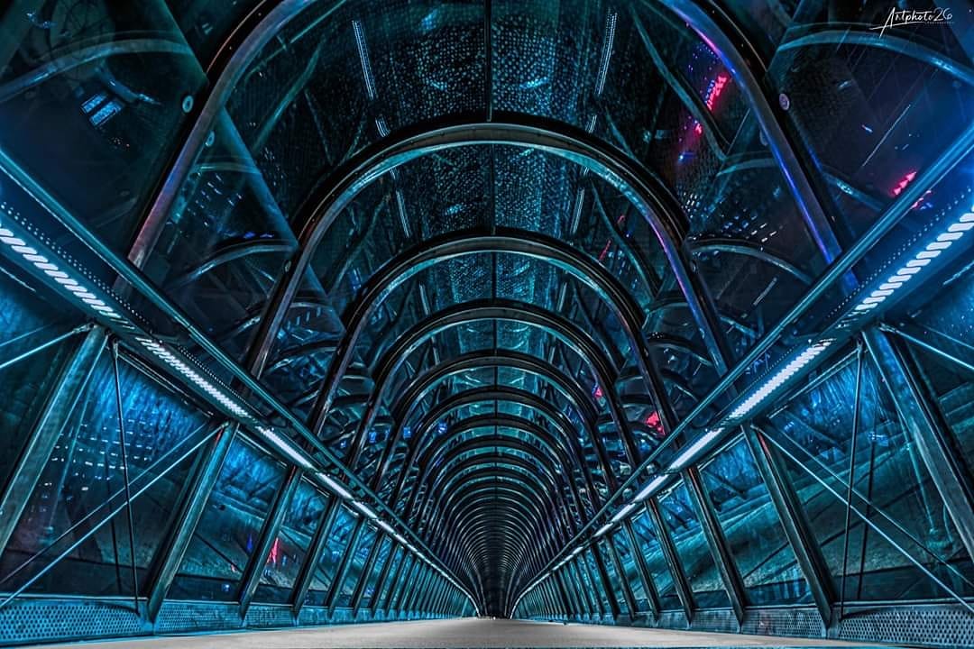 Japan Bridge - Pont d'art, Nanterre, Paris, France