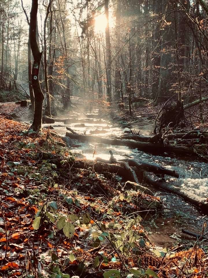 Karlstalschlucht, Germany