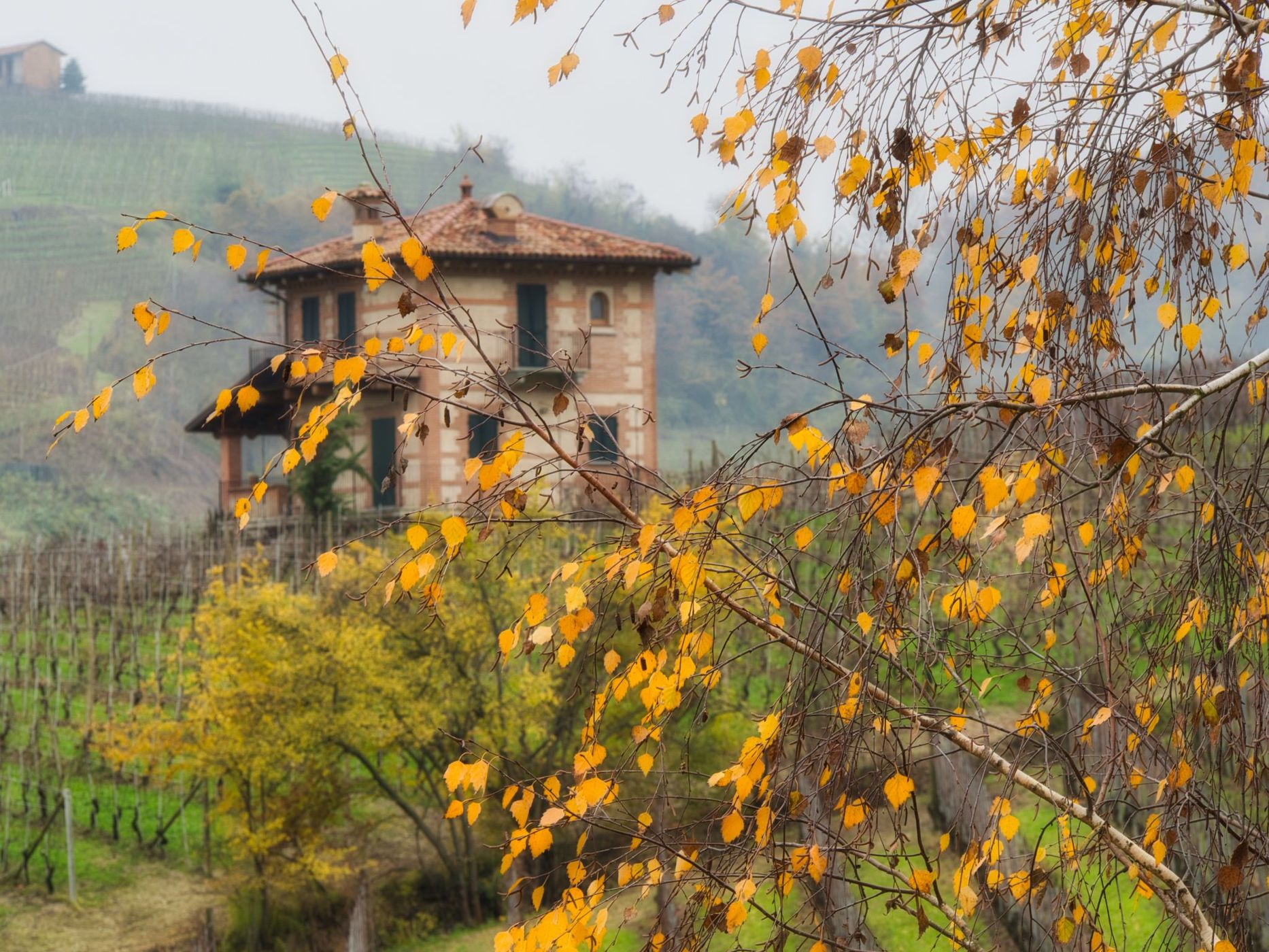 Piemontese Valley, Italy
