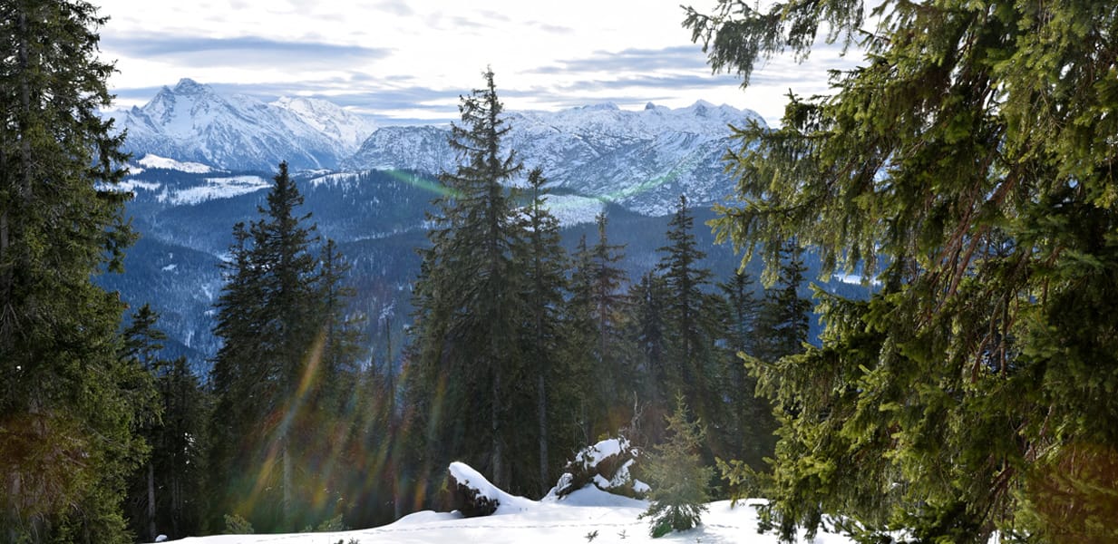 Predigtstuhl, Germany