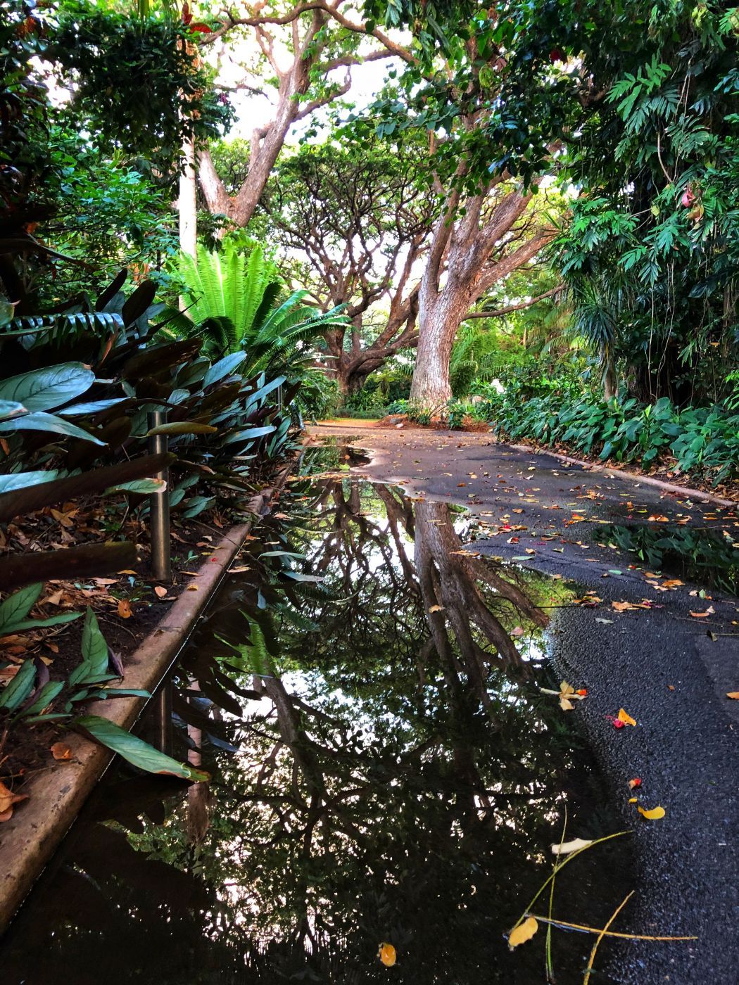 Queens Gardens, Australia