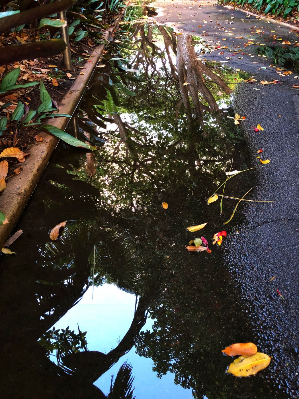Queens Gardens, Australia