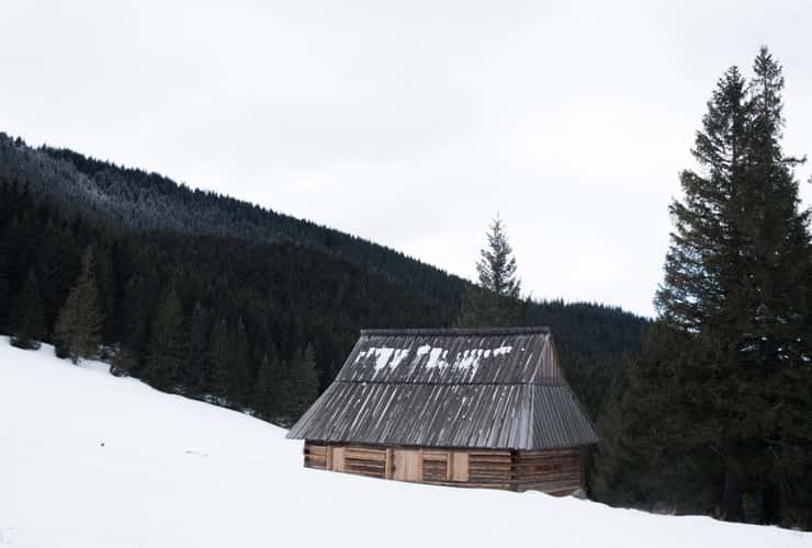 Rusinowa Clearing