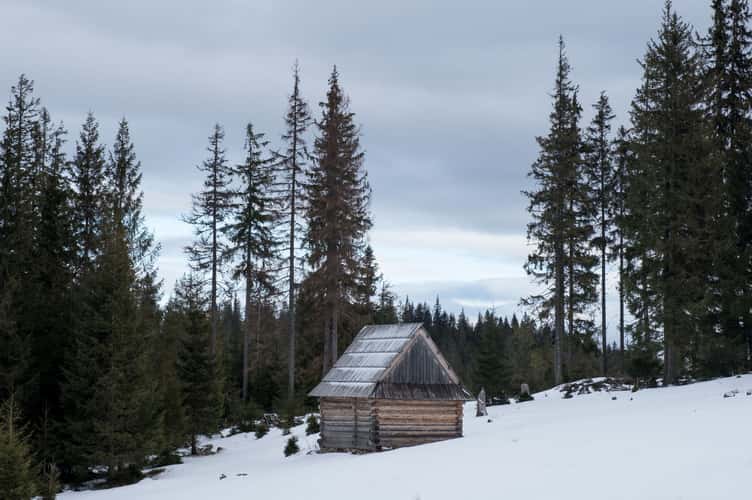 Rusinowa Clearing