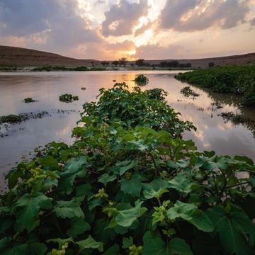 salbukh dam, Saudi Arabia