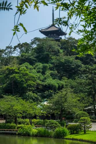 Sankei-en Garden