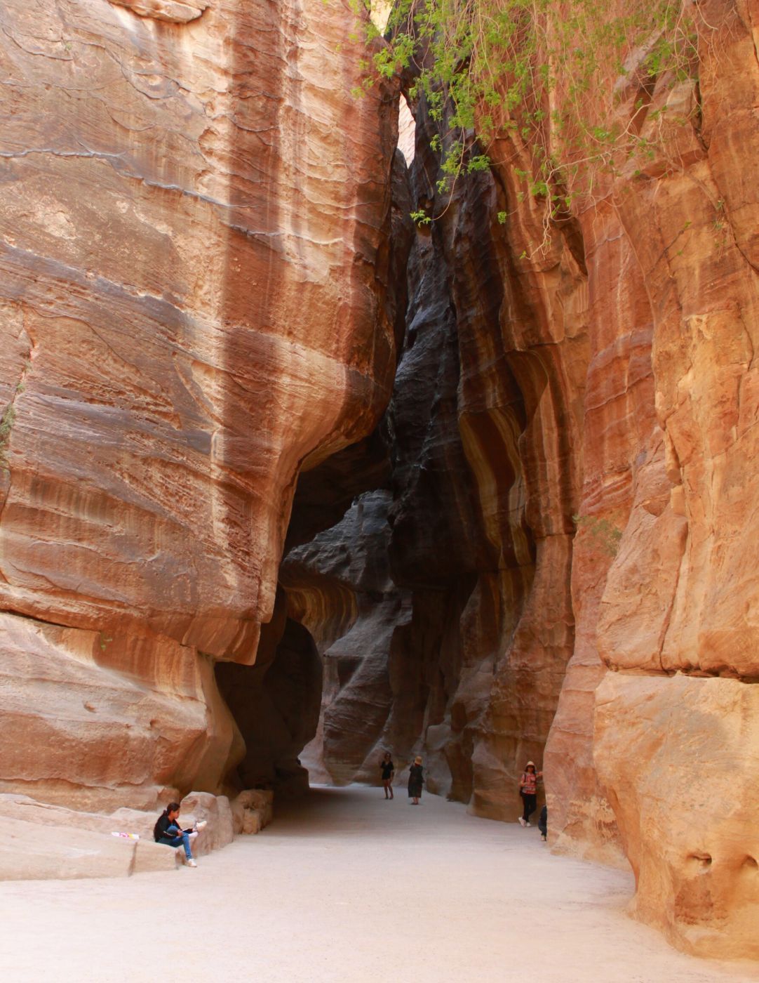 Siq - way through the rocks to Petra, Jordan