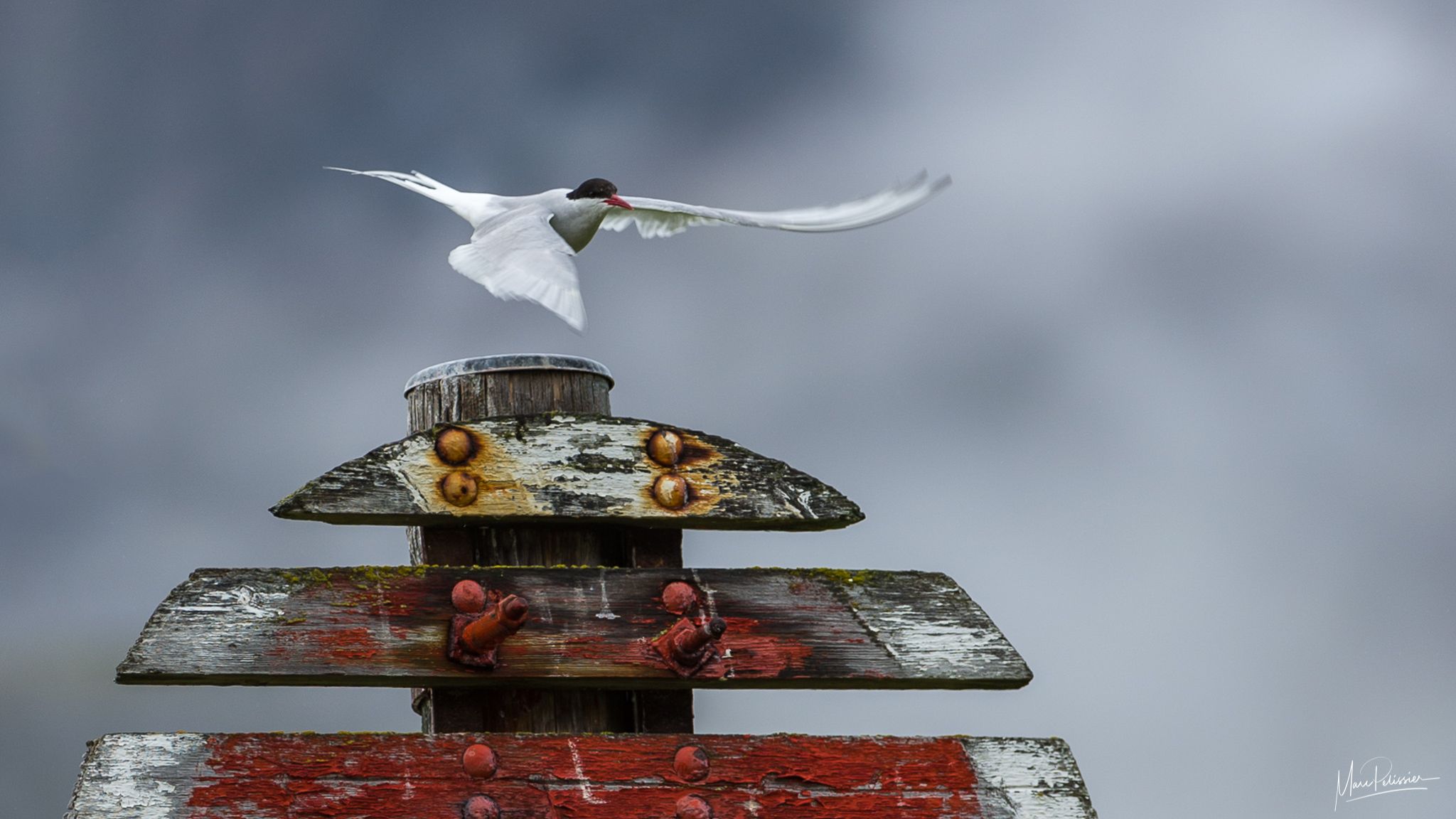 Small fishing harbor before Sudavik, Iceland
