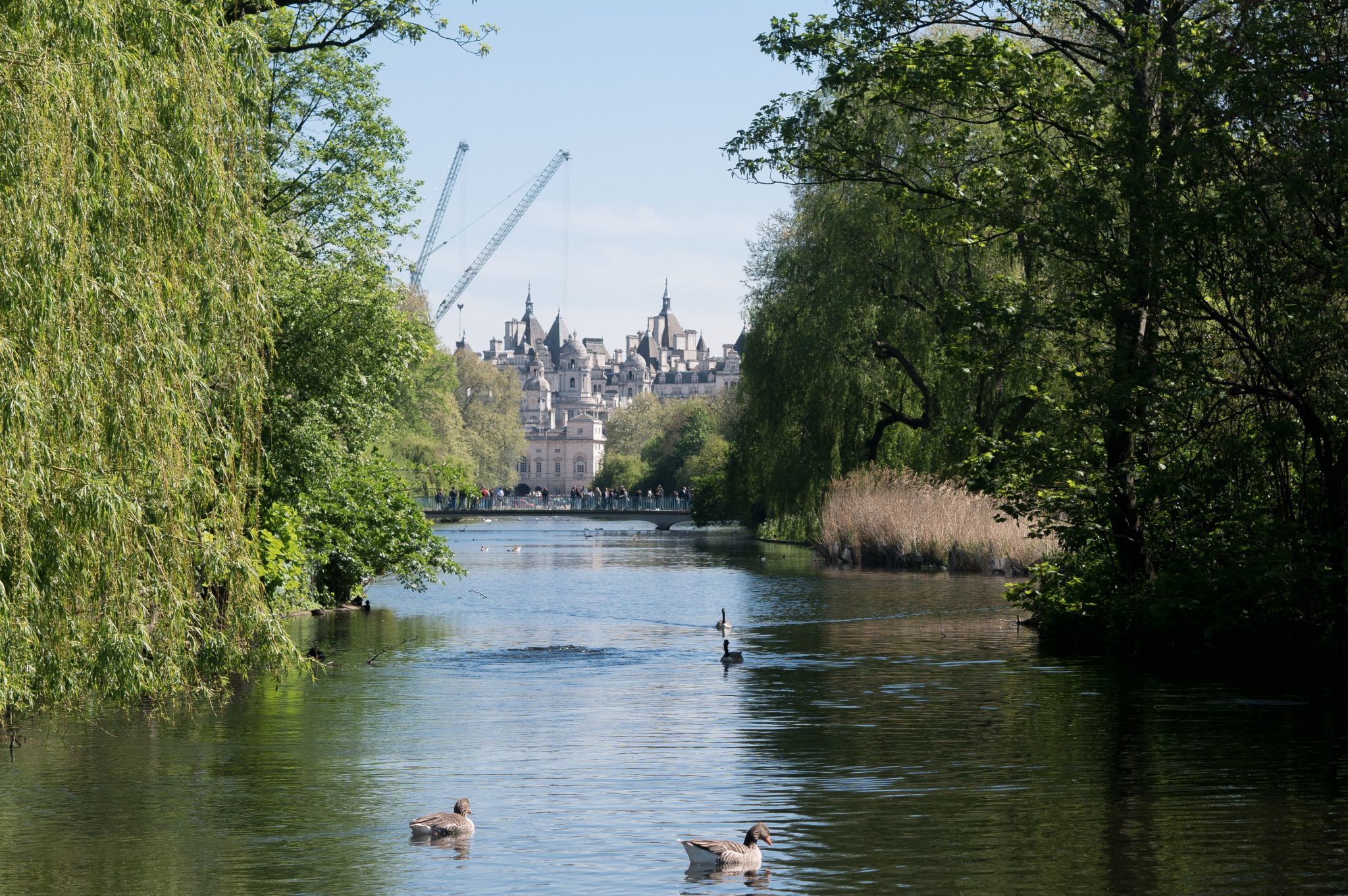 View to Downing Street from St. James's Park, London, United Kingdom
