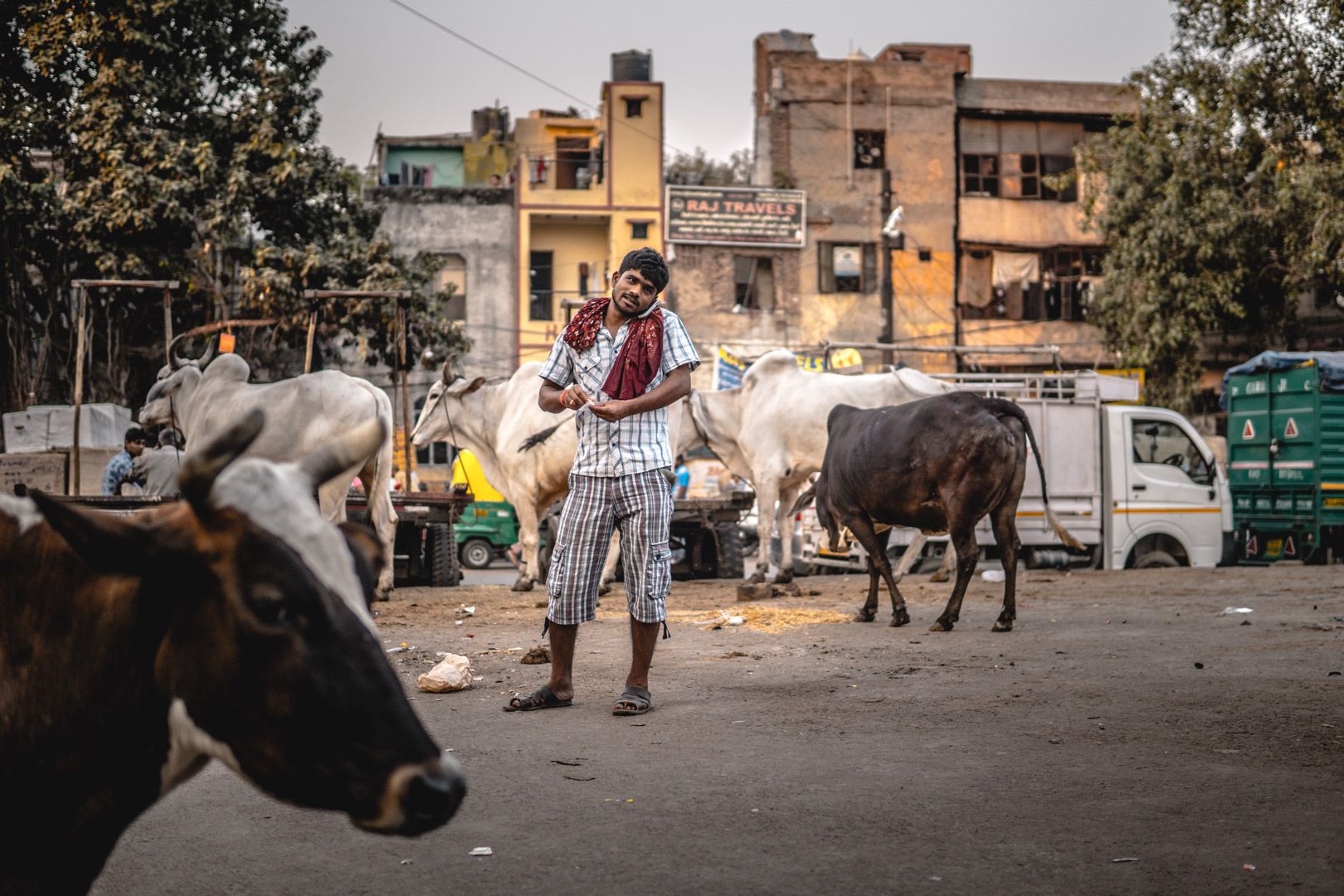 Streets of Dheli, India