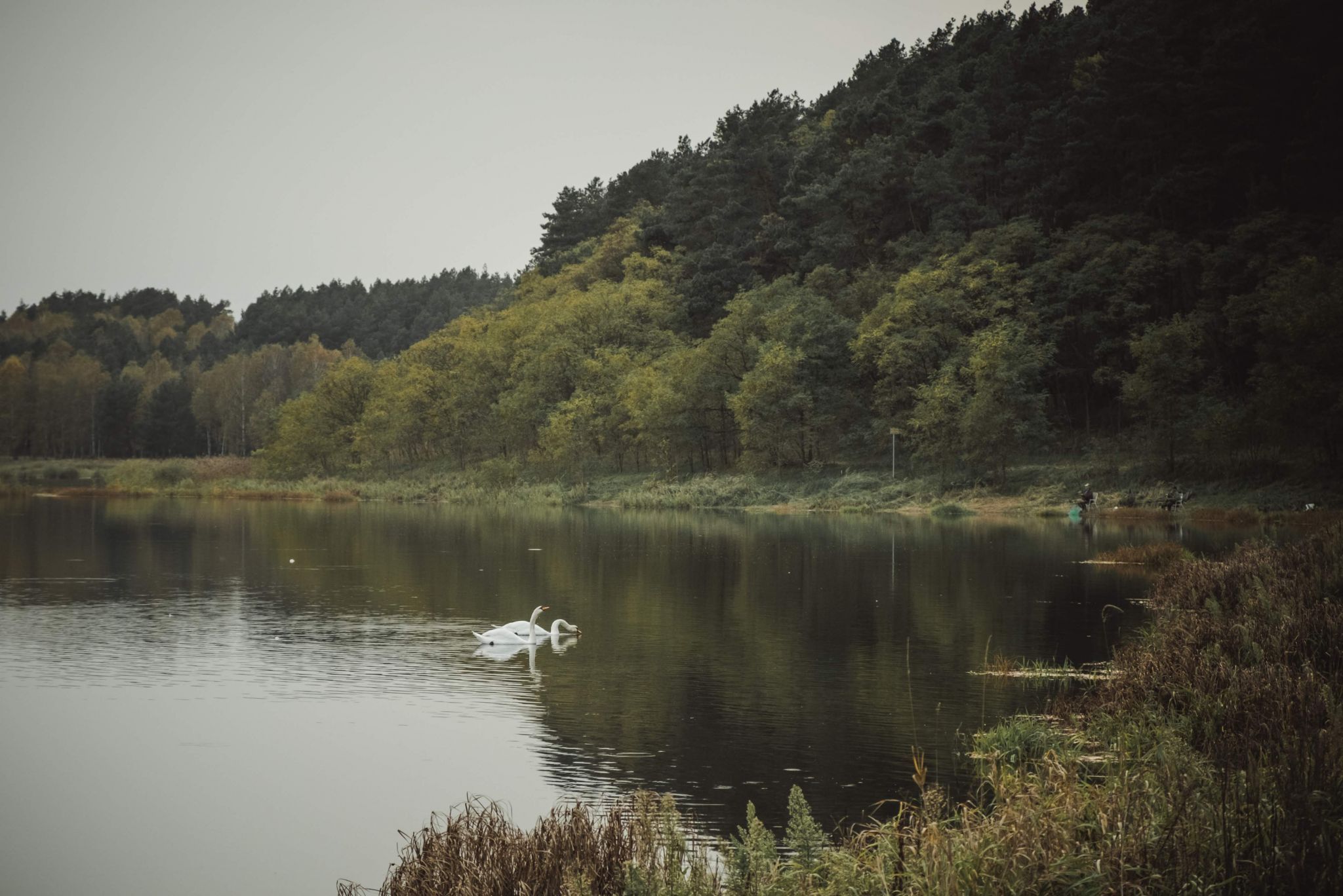 Suchatowka lake, Poland