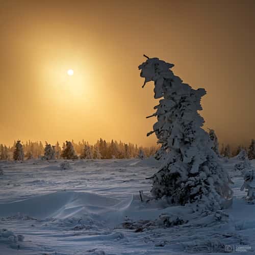 Sunset at the Top / Hochwechsel
