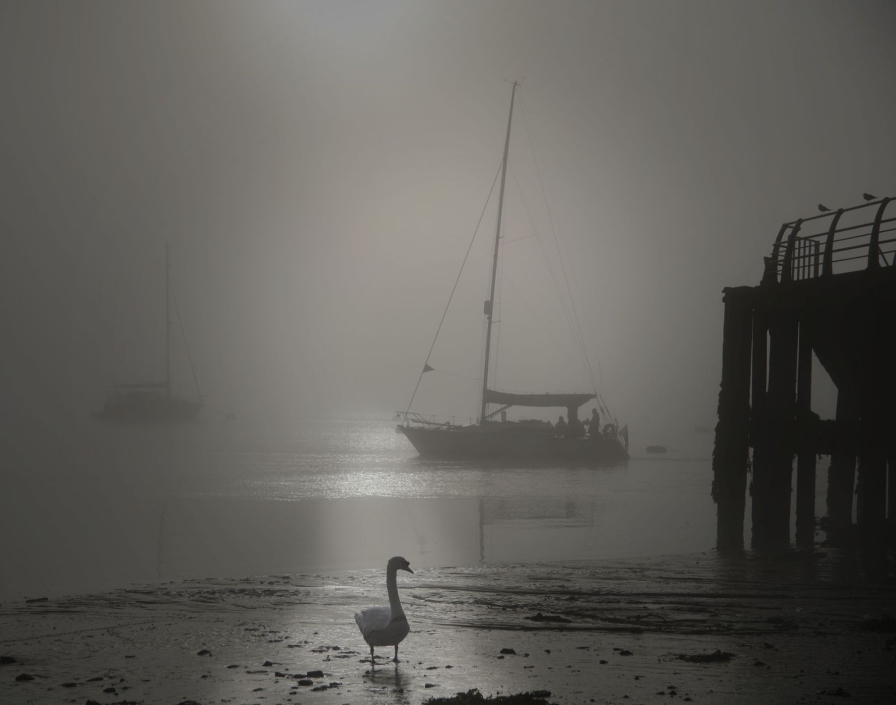 Tamar Bridge, Saltash, United Kingdom