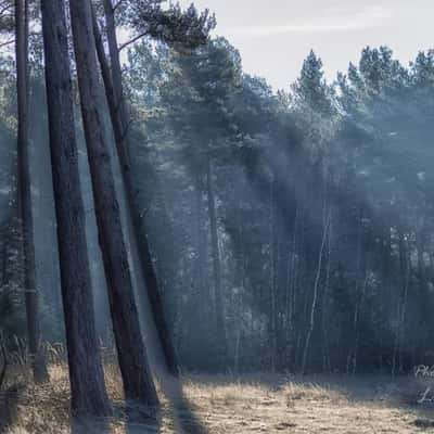 Teverener Heide, Germany