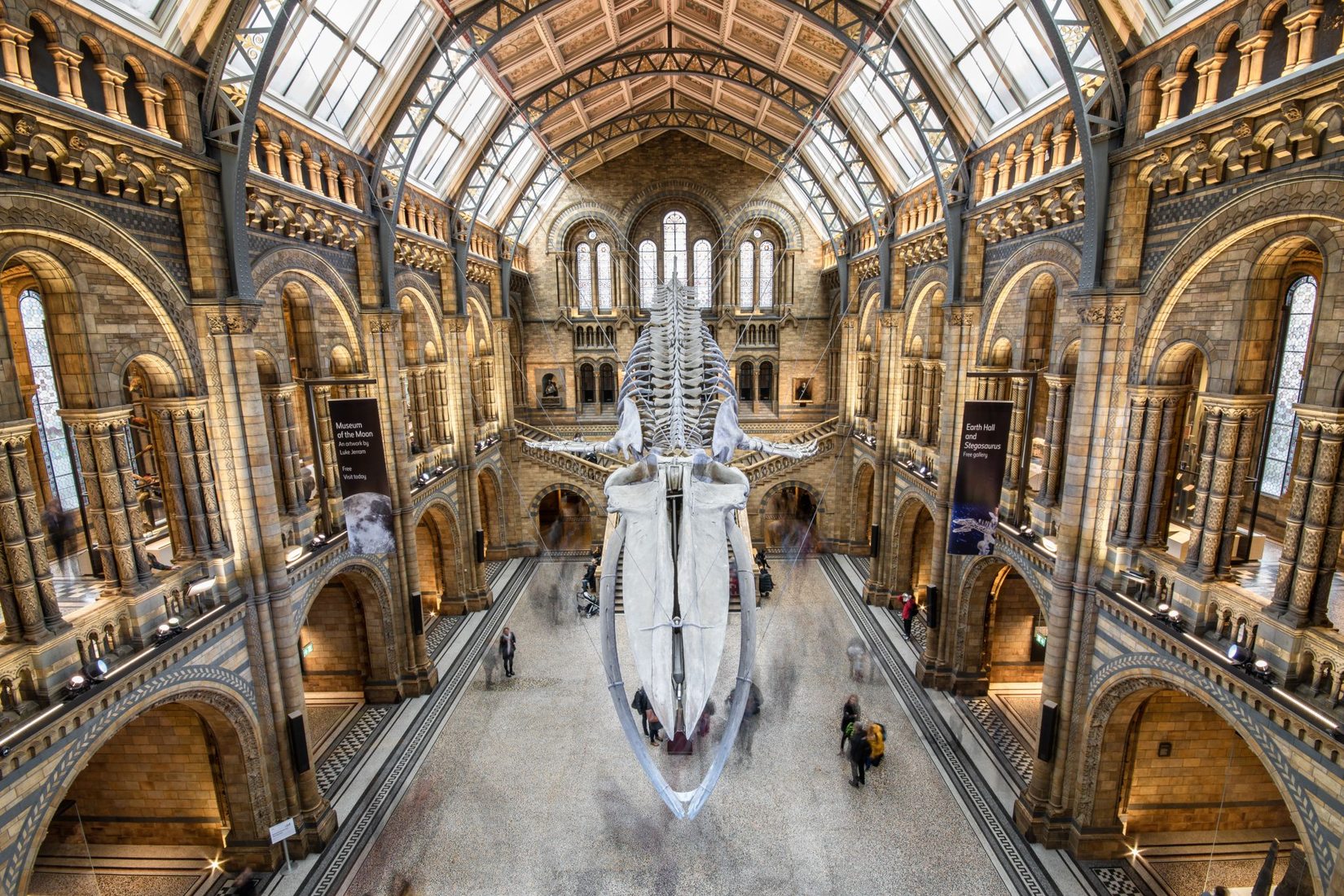 How Much Is The Natural History Museum In London