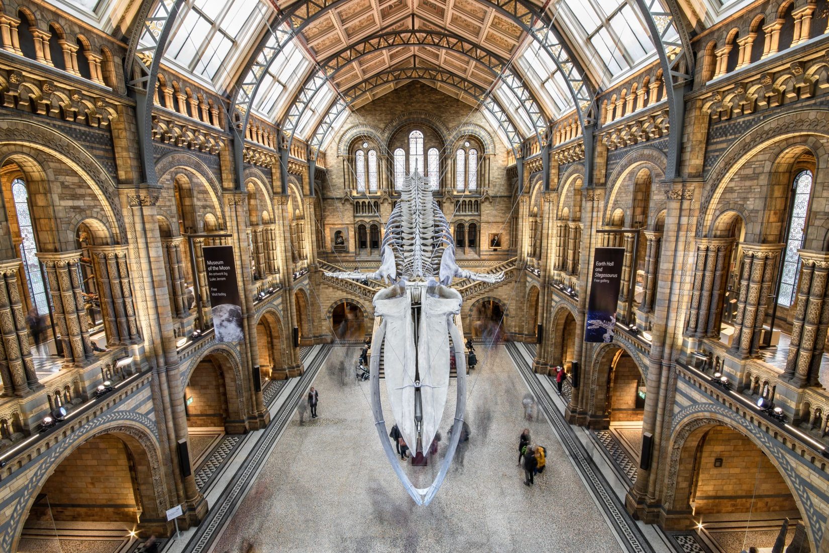 The Natural History Museum Lobby London United Kingdom The Natural History Museum Lobby London United Kingdom