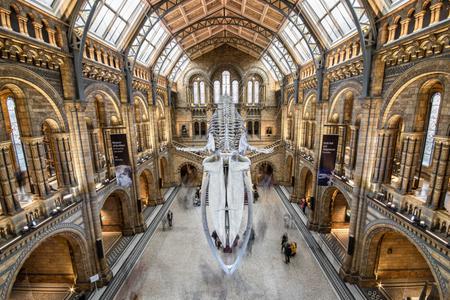 The Natural History Museum Lobby, London