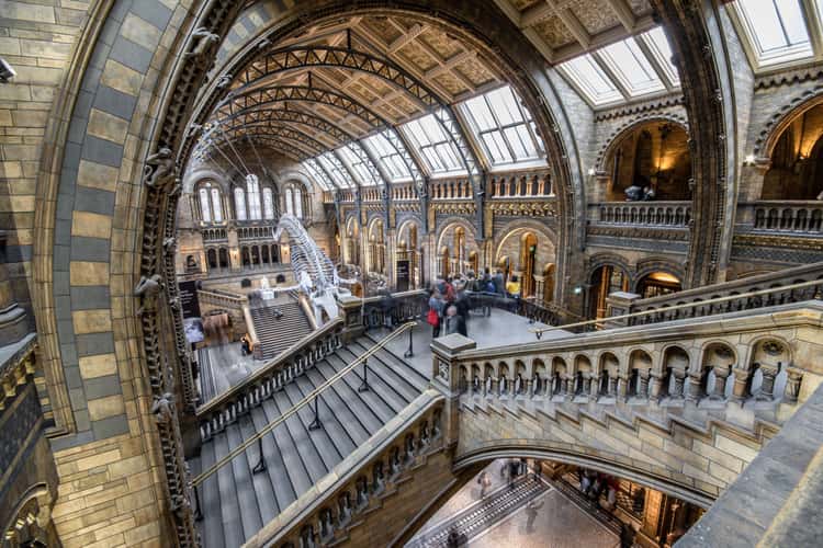 The Natural History Museum, London