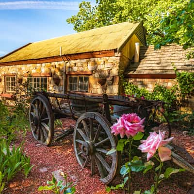 Wagon & roses Hahndorf South Australia, Australia