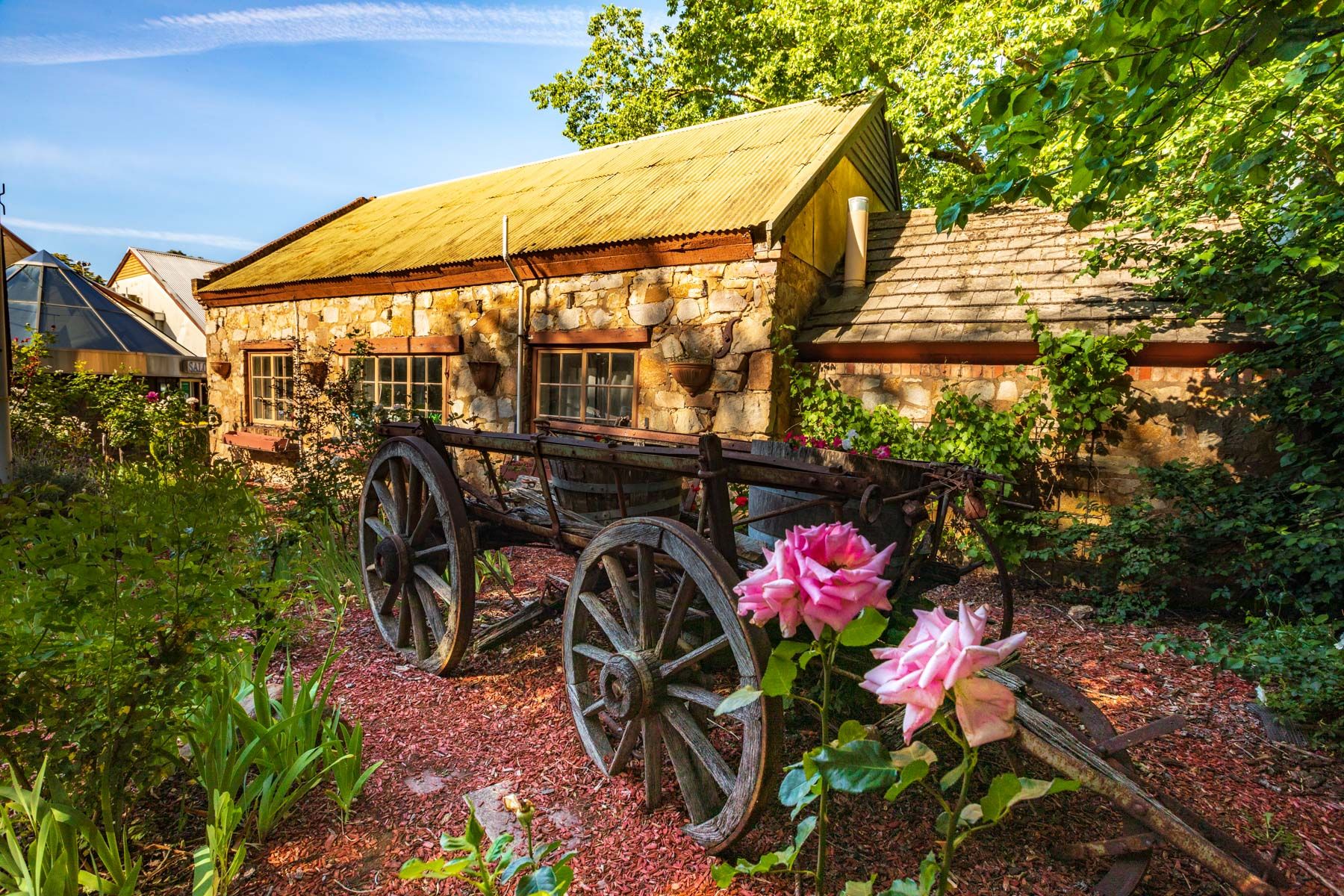 Wagon & roses Hahndorf South Australia, Australia