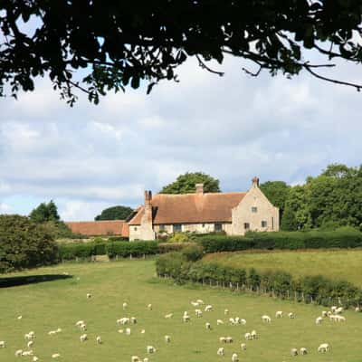 Wickham Manor Farm, Winchelsea, United Kingdom