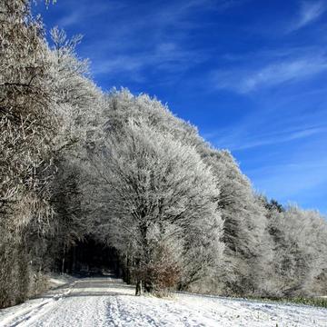 Winter in den Baumbergen, Germany
