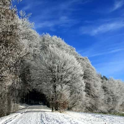 Winter in den Baumbergen, Germany