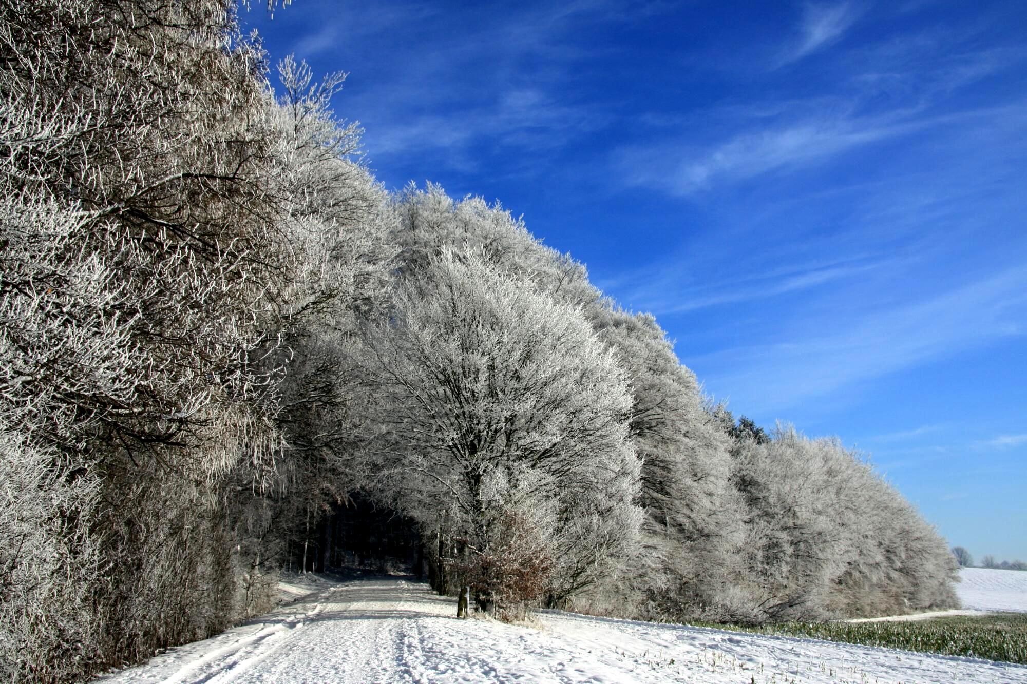 Winter in den Baumbergen, Germany