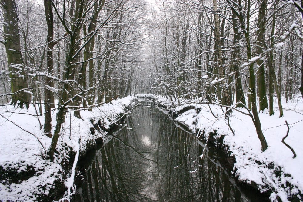 Angelbrücke im Wolbecker Tiergarten, Germany