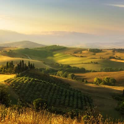 Belvedere Farm House, Italy