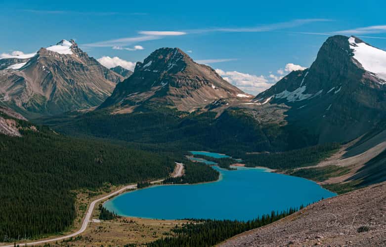 Bow Summit Trail