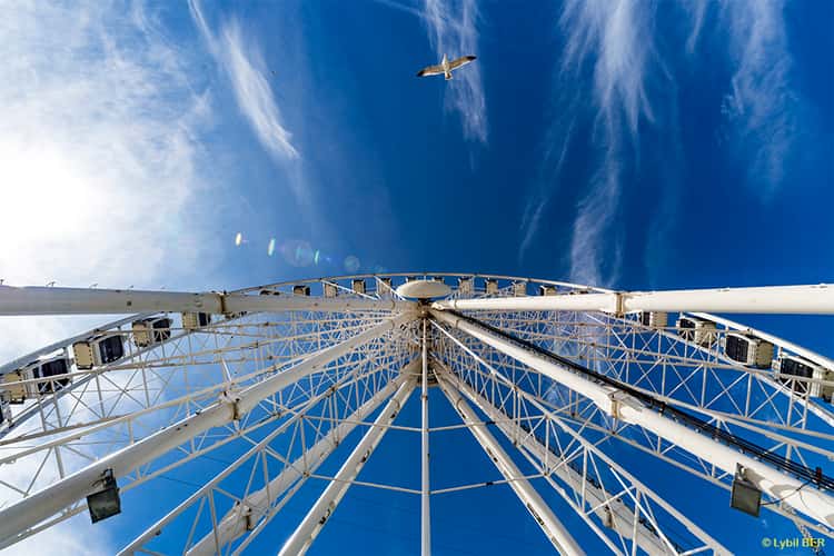 Bungee Jump