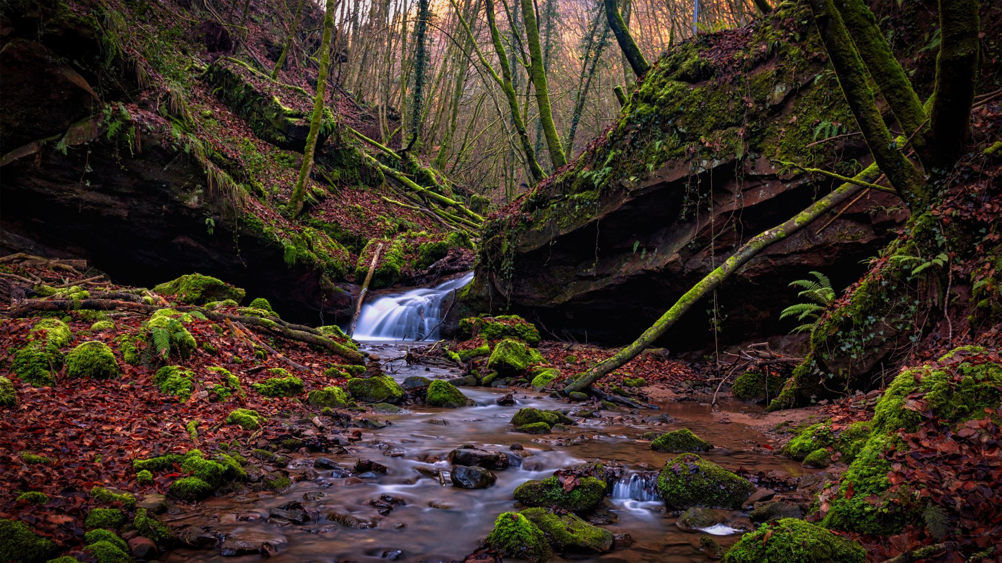 Butzerbachtal, Trier, Germany
