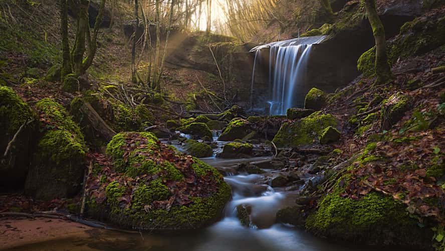 Butzerbachtal, Trier