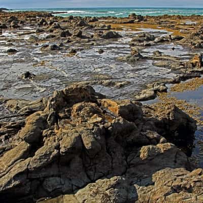 Curio Bay, New Zealand