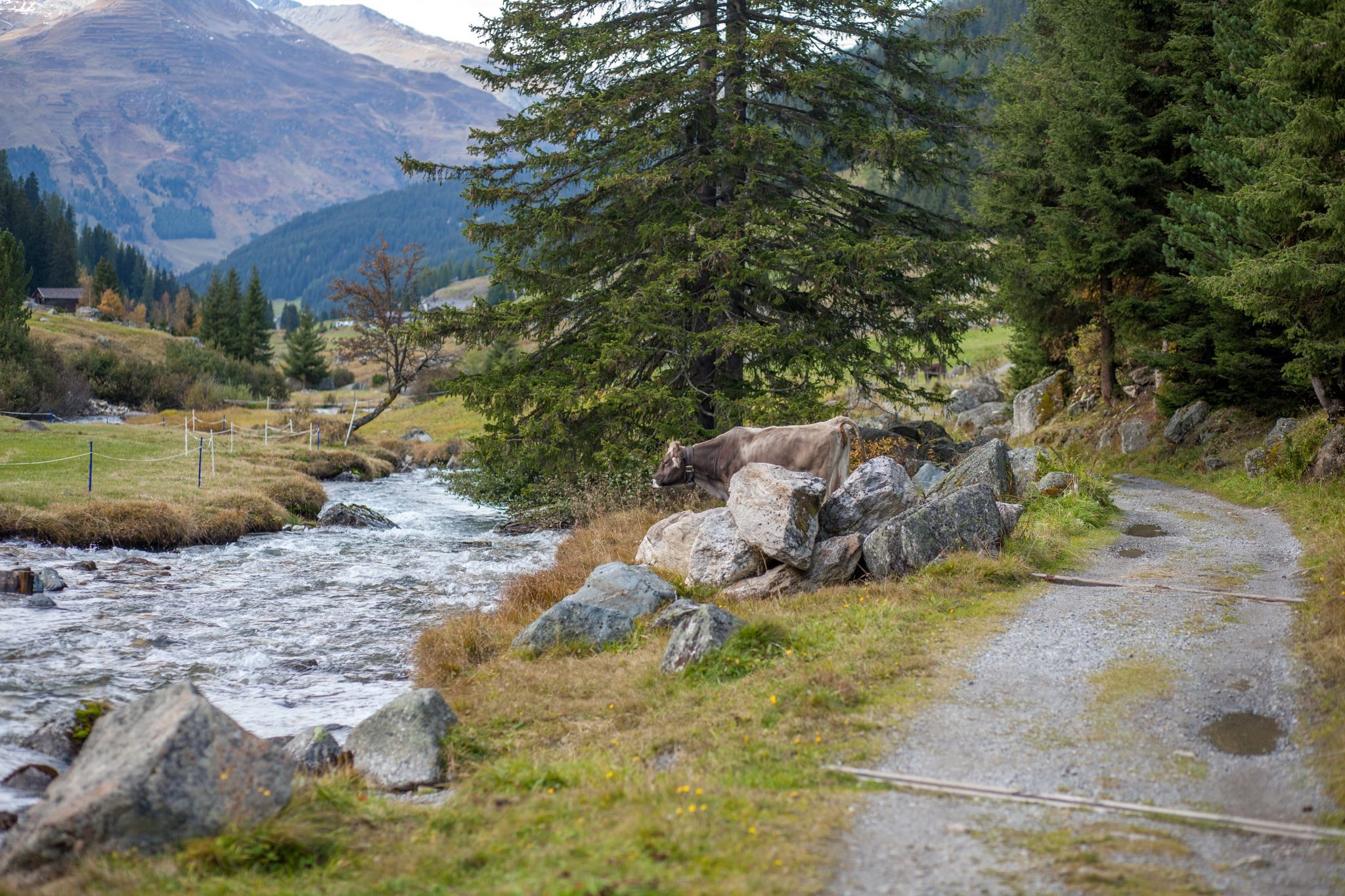 Davos, Switzerland