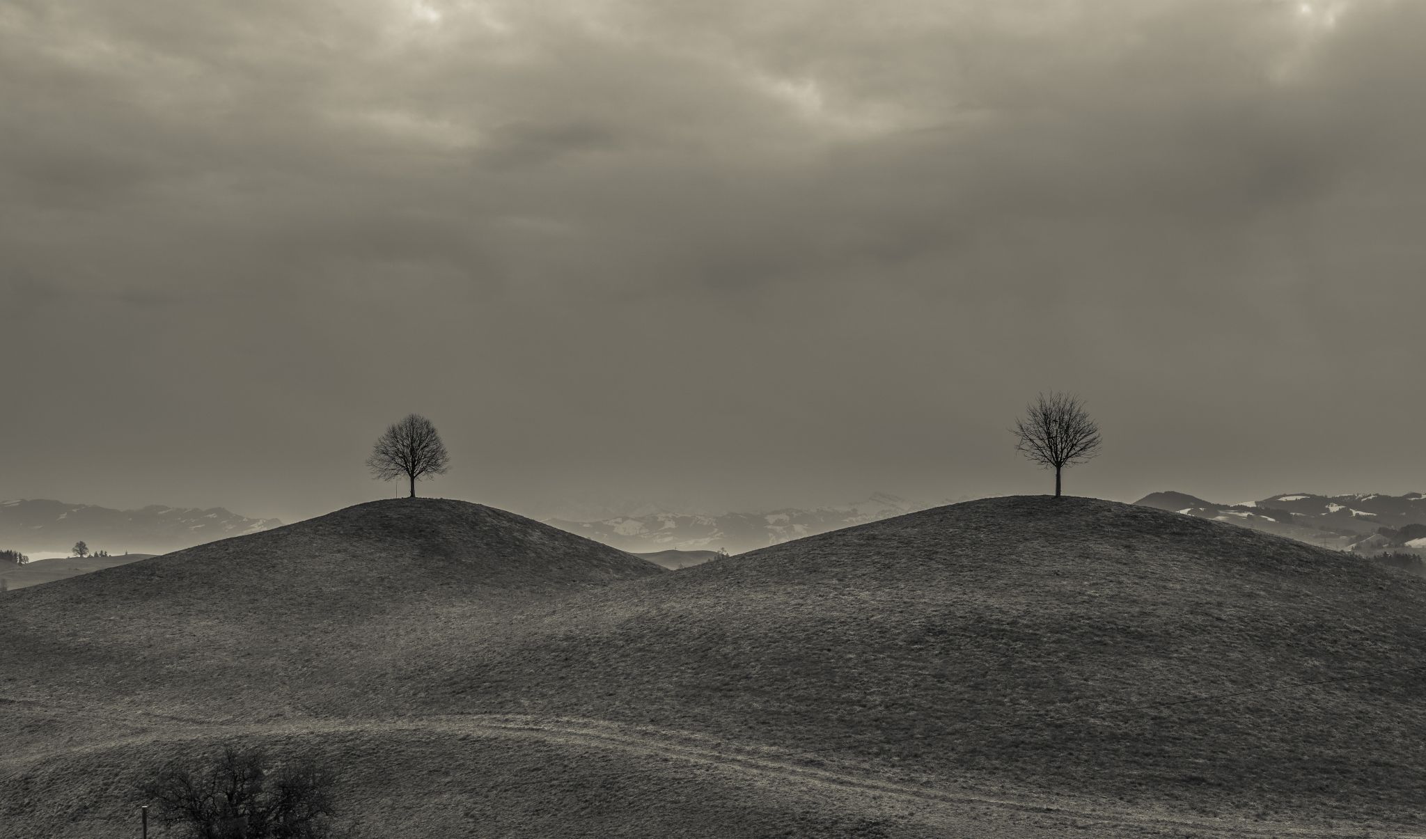 Drumlins, Switzerland